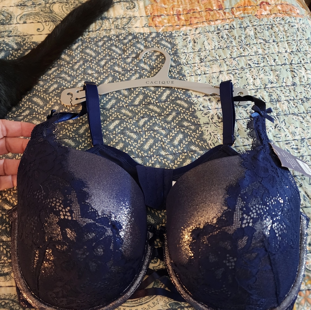 Lane Bryant Boost Balconette